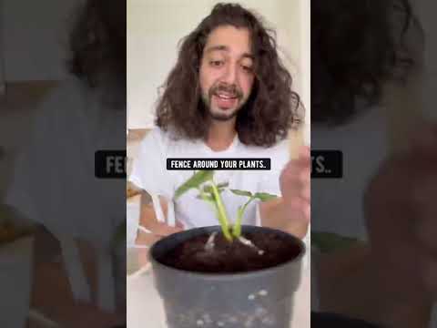 Plant & Garden Hacks | creative explained | Myhome2garden.com